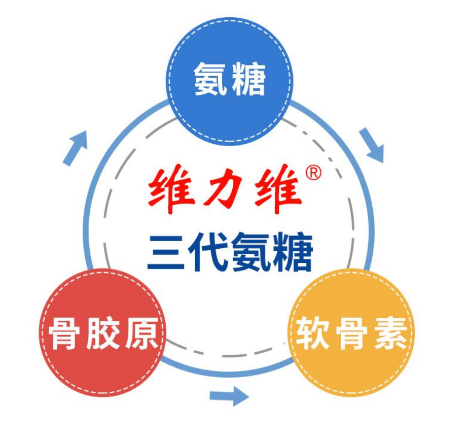 氨糖软骨素老年人可以吃吗？最后一种才适合