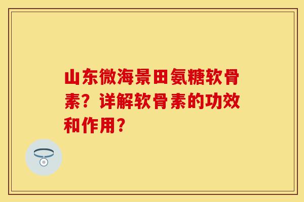 山东微海景田氨糖软骨素？详解软骨素的功效和作用？-第1张图片-关节保镖