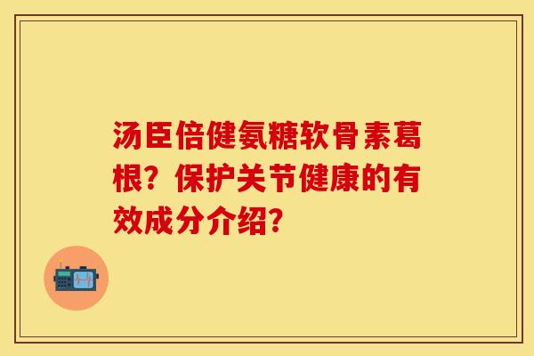 汤臣倍健氨糖软骨素葛根？保护关节健康的有效成分介绍？