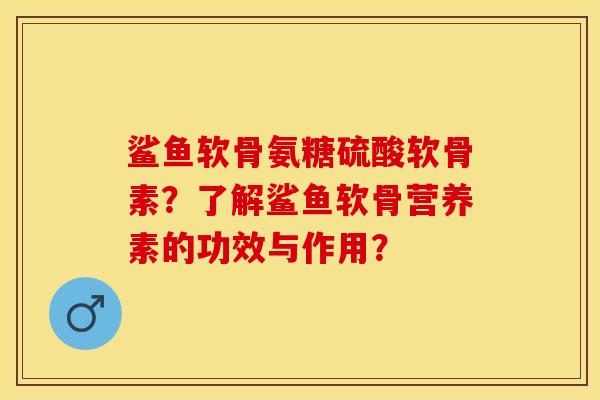 鲨鱼软骨氨糖硫酸软骨素？了解鲨鱼软骨营养素的功效与作用？