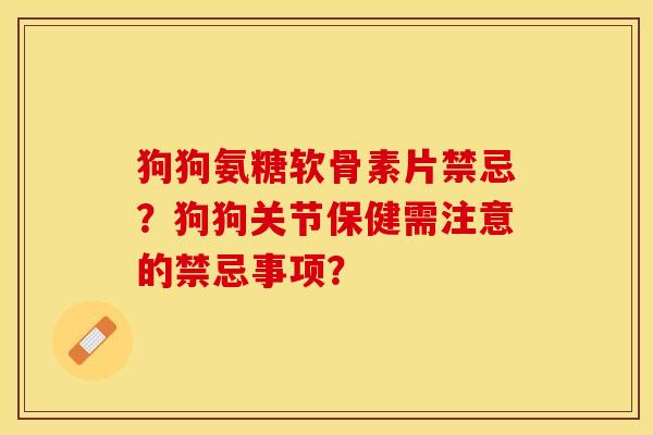 狗狗氨糖软骨素片禁忌？狗狗关节保健需注意的禁忌事项？