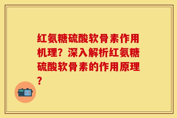 红氨糖硫酸软骨素作用机理？深入解析红氨糖硫酸软骨素的作用原理？