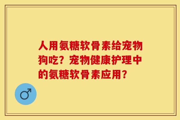 人用氨糖软骨素给宠物狗吃？宠物健康护理中的氨糖软骨素应用？