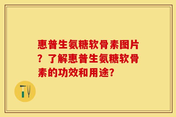 惠普生氨糖软骨素图片？了解惠普生氨糖软骨素的功效和用途？