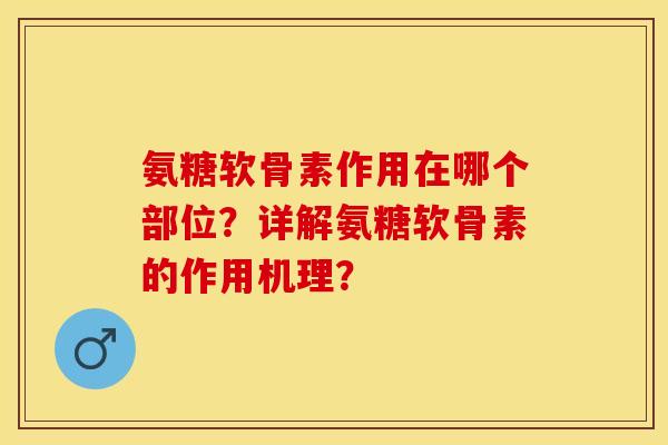 氨糖软骨素作用在哪个部位？详解氨糖软骨素的作用机理？