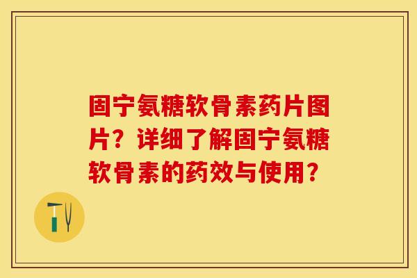 固宁氨糖软骨素药片图片？详细了解固宁氨糖软骨素的药效与使用？