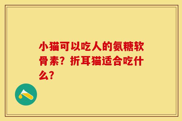 小猫可以吃人的氨糖软骨素？折耳猫适合吃什么？