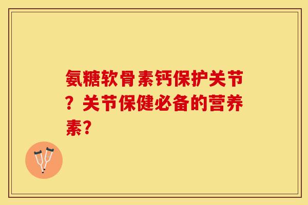 氨糖软骨素钙保护关节？关节保健必备的营养素？