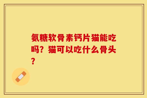 氨糖软骨素钙片猫能吃吗？猫可以吃什么骨头？-第1张图片-关节保镖