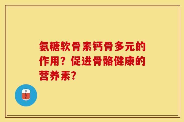 氨糖软骨素钙骨多元的作用？促进骨骼健康的营养素？-第1张图片-关节保镖