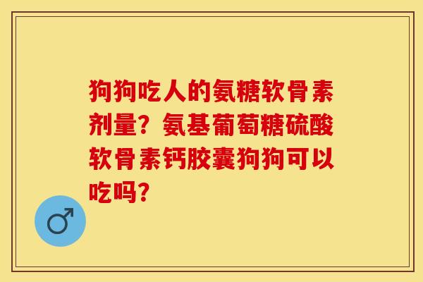 狗狗吃人的氨糖软骨素剂量？氨基葡萄糖硫酸软骨素钙胶囊狗狗可以吃吗？-第1张图片-关节保镖