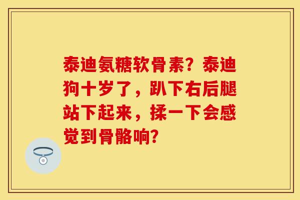 泰迪氨糖软骨素？泰迪狗十岁了，趴下右后腿站下起来，揉一下会感觉到骨骼响？-第1张图片-关节保镖