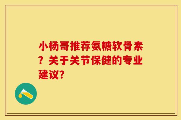 小杨哥推荐氨糖软骨素？关于关节保健的专业建议？-第1张图片-关节保镖