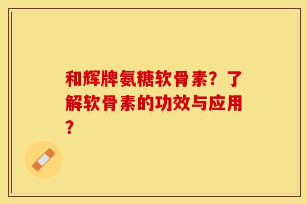 和辉牌氨糖软骨素？了解软骨素的功效与应用？-第1张图片-关节保镖