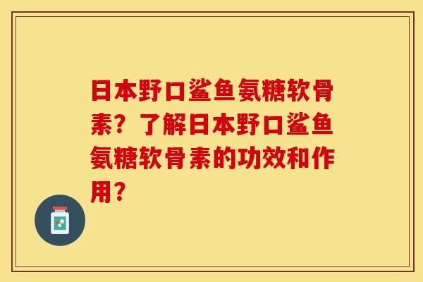 日本野口鲨鱼氨糖软骨素？了解日本野口鲨鱼氨糖软骨素的功效和作用？-第1张图片-关节保镖