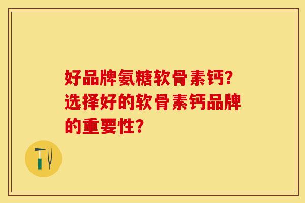 好品牌氨糖软骨素钙？选择好的软骨素钙品牌的重要性？-第1张图片-关节保镖
