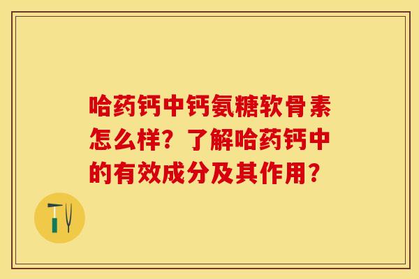 哈药钙中钙氨糖软骨素怎么样？了解哈药钙中的有效成分及其作用？-第1张图片-关节保镖