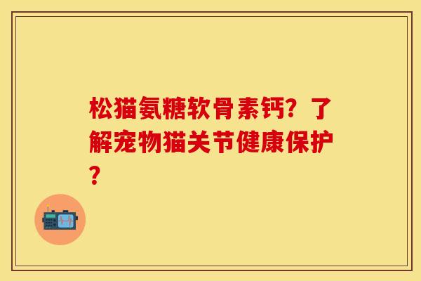 松猫氨糖软骨素钙？了解宠物猫关节健康保护？-第1张图片-关节保镖