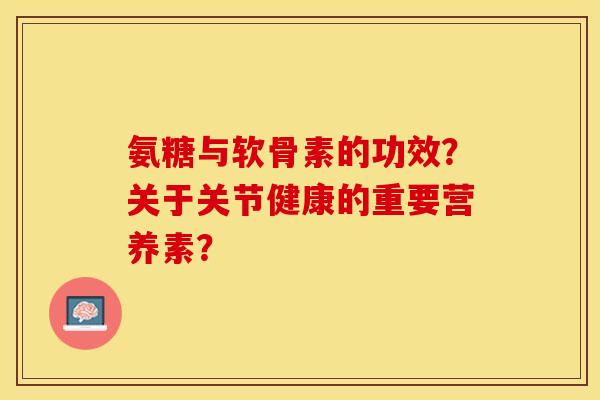 氨糖与软骨素的功效？关于关节健康的重要营养素？-第1张图片-关节保镖