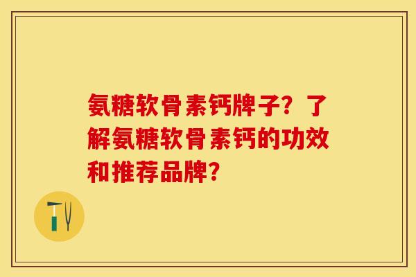 氨糖软骨素钙牌子？了解氨糖软骨素钙的功效和推荐品牌？-第1张图片-关节保镖