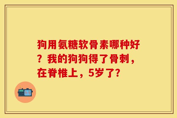 狗用氨糖软骨素哪种好？我的狗狗得了骨刺，在脊椎上，5岁了？-第1张图片-关节保镖