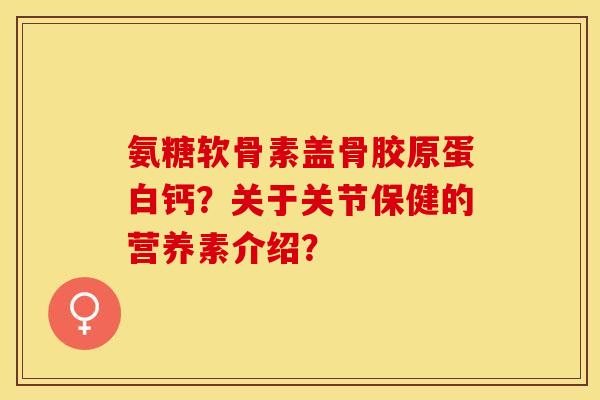 氨糖软骨素盖骨胶原蛋白钙？关于关节保健的营养素介绍？-第1张图片-关节保镖