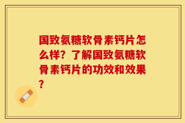 国致氨糖软骨素钙片怎么样？了解国致氨糖软骨素钙片的功效和效果？-第1张图片-关节保镖