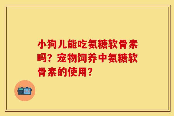 小狗儿能吃氨糖软骨素吗？宠物饲养中氨糖软骨素的使用？-第1张图片-关节保镖