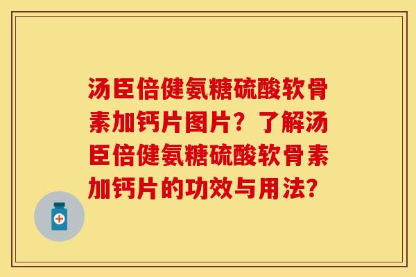 汤臣倍健氨糖硫酸软骨素加钙片图片？了解汤臣倍健氨糖硫酸软骨素加钙片的功效与用法？-第1张图片-关节保镖