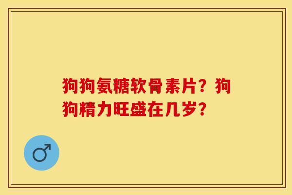 狗狗氨糖软骨素片？狗狗精力旺盛在几岁？-第1张图片-关节保镖