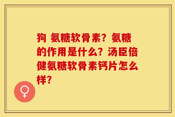 狗 氨糖软骨素？氨糖的作用是什么？汤臣倍健氨糖软骨素钙片怎么样？
