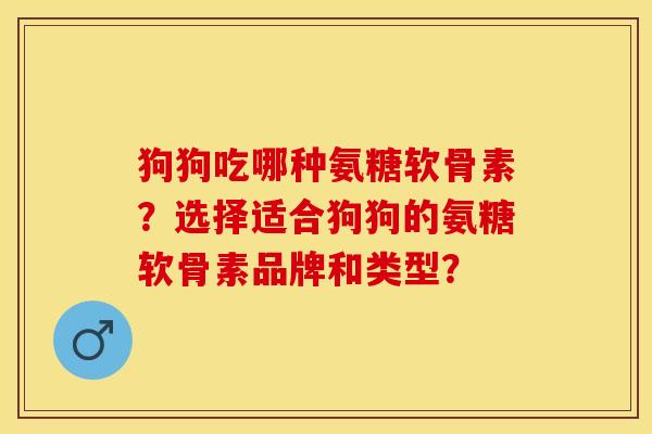 狗狗吃哪种氨糖软骨素？选择适合狗狗的氨糖软骨素品牌和类型？-第1张图片-关节保镖