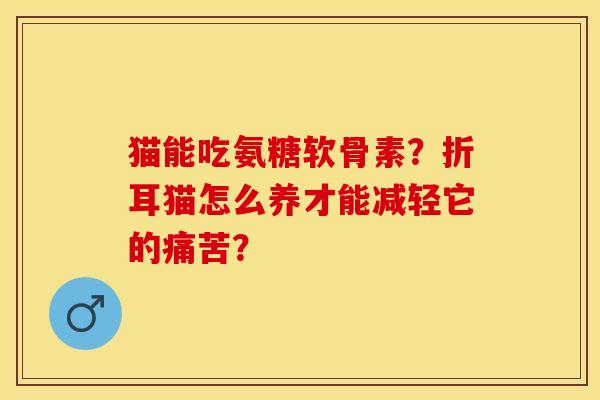 猫能吃氨糖软骨素？折耳猫怎么养才能减轻它的痛苦？-第1张图片-关节保镖