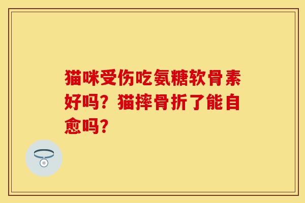 猫咪受伤吃氨糖软骨素好吗？猫摔骨折了能自愈吗？-第1张图片-关节保镖