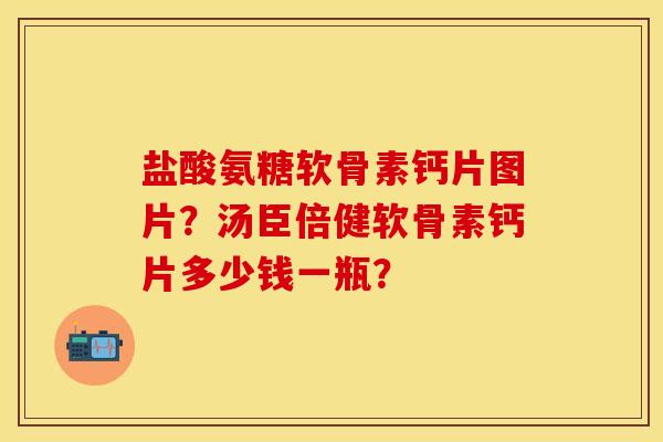 盐酸氨糖软骨素钙片图片？汤臣倍健软骨素钙片多少钱一瓶？