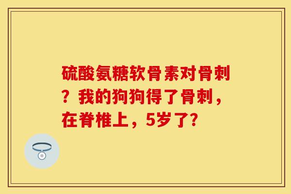 硫酸氨糖软骨素对骨刺？我的狗狗得了骨刺，在脊椎上，5岁了？-第1张图片-关节保镖