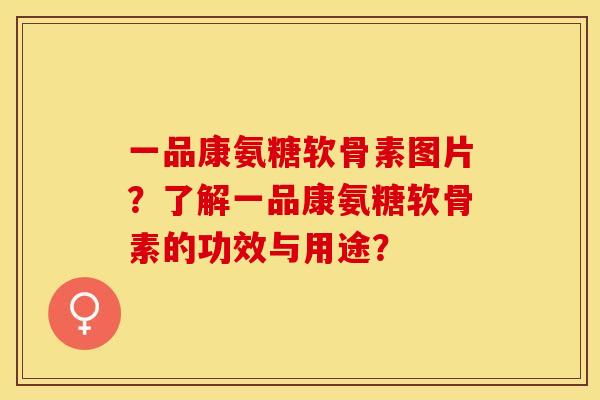 一品康氨糖软骨素图片？了解一品康氨糖软骨素的功效与用途？-第1张图片-关节保镖