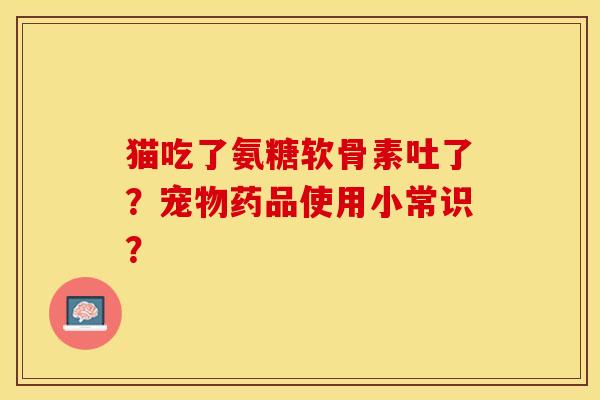 猫吃了氨糖软骨素吐了？宠物药品使用小常识？-第1张图片-关节保镖