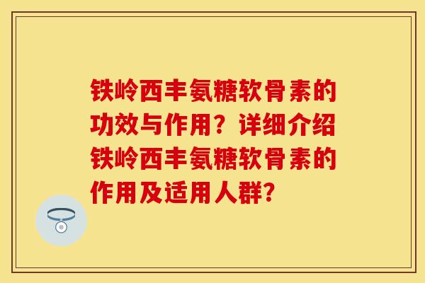 铁岭西丰氨糖软骨素的功效与作用？详细介绍铁岭西丰氨糖软骨素的作用及适用人群？-第1张图片-关节保镖