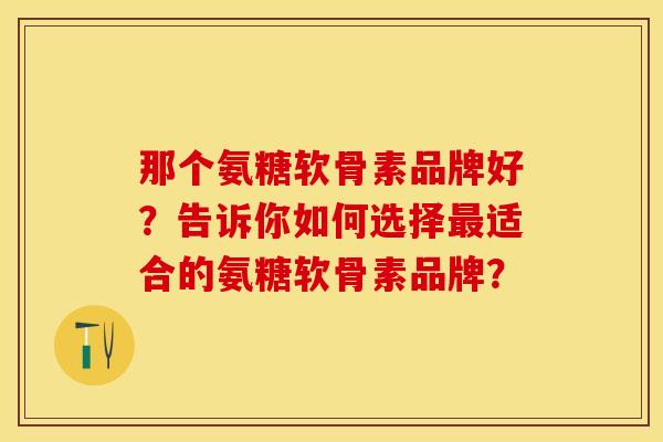 那个氨糖软骨素品牌好？告诉你如何选择最适合的氨糖软骨素品牌？-第1张图片-关节保镖