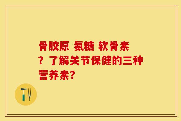 骨胶原 氨糖 软骨素？了解关节保健的三种营养素？-第1张图片-关节保镖