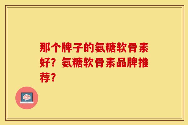 那个牌子的氨糖软骨素好？氨糖软骨素品牌推荐？-第1张图片-关节保镖