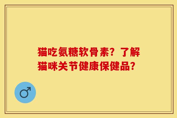 猫吃氨糖软骨素？了解猫咪关节健康保健品？-第1张图片-关节保镖