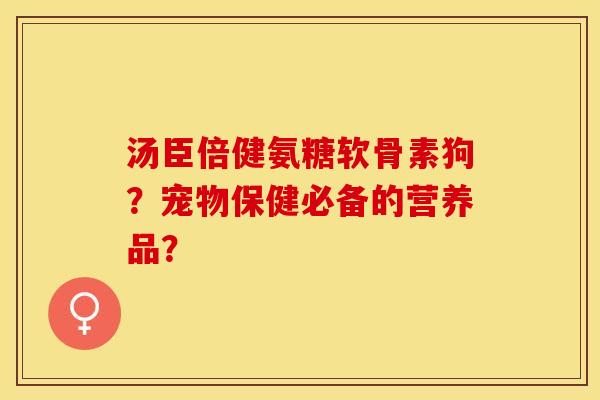 汤臣倍健氨糖软骨素狗？宠物保健必备的营养品？-第1张图片-关节保镖