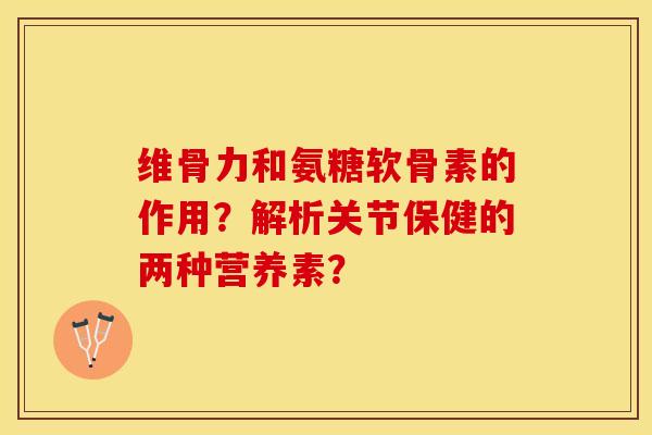 维骨力和氨糖软骨素的作用？解析关节保健的两种营养素？