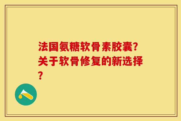 法国氨糖软骨素胶囊？关于软骨修复的新选择？-第1张图片-关节保镖