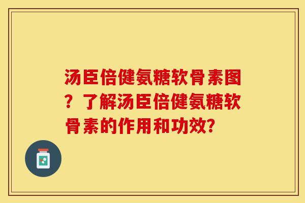 汤臣倍健氨糖软骨素图？了解汤臣倍健氨糖软骨素的作用和功效？