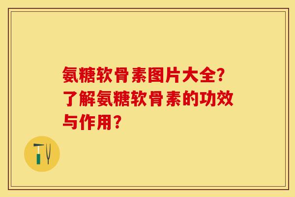 氨糖软骨素图片大全？了解氨糖软骨素的功效与作用？-第1张图片-关节保镖