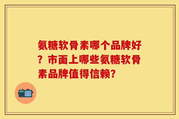 氨糖软骨素哪个品牌好？市面上哪些氨糖软骨素品牌值得信赖？-第1张图片-关节保镖