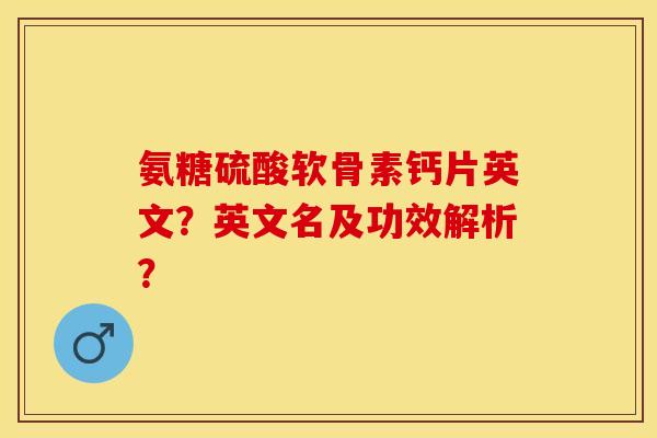氨糖硫酸软骨素钙片英文？英文名及功效解析？-第1张图片-关节保镖